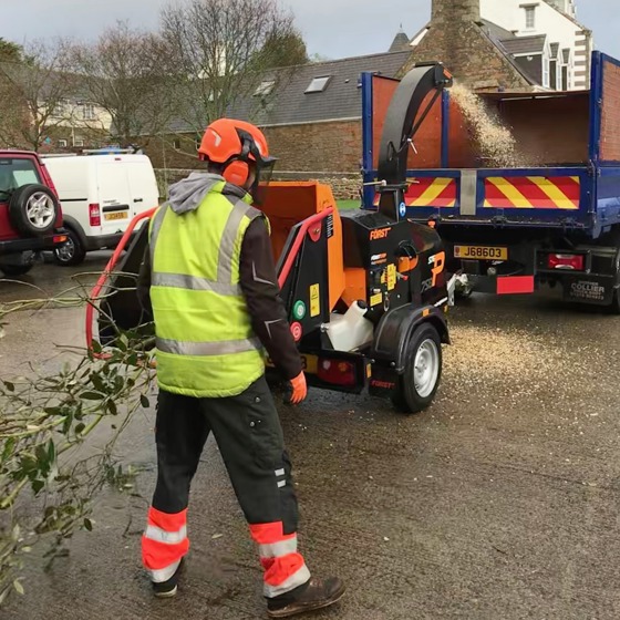 Wood Chipper / Shredder / Stump Grinder Image