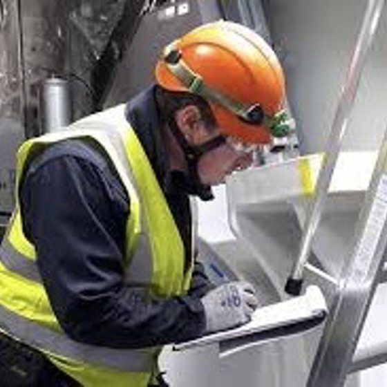 Ladder Inspector Image
